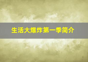 生活大爆炸第一季简介