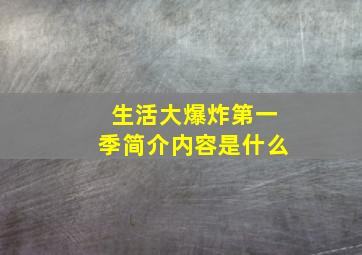 生活大爆炸第一季简介内容是什么