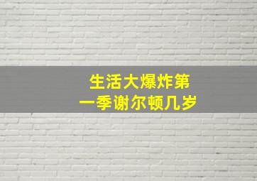 生活大爆炸第一季谢尔顿几岁