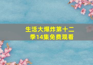 生活大爆炸第十二季14集免费观看