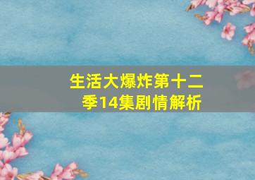 生活大爆炸第十二季14集剧情解析