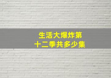 生活大爆炸第十二季共多少集