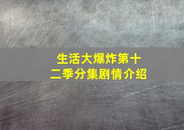 生活大爆炸第十二季分集剧情介绍