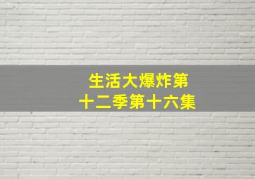 生活大爆炸第十二季第十六集