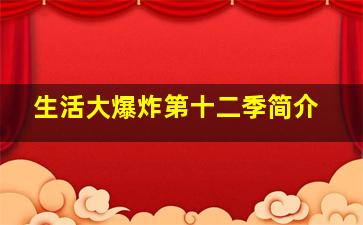 生活大爆炸第十二季简介