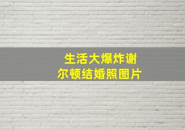 生活大爆炸谢尔顿结婚照图片