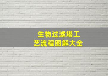 生物过滤塔工艺流程图解大全