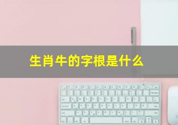 生肖牛的字根是什么