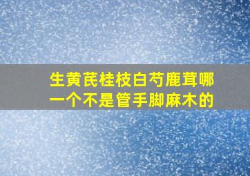 生黄芪桂枝白芍鹿茸哪一个不是管手脚麻木的