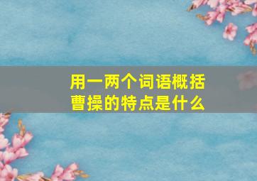 用一两个词语概括曹操的特点是什么