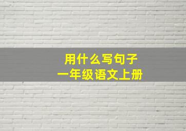 用什么写句子一年级语文上册