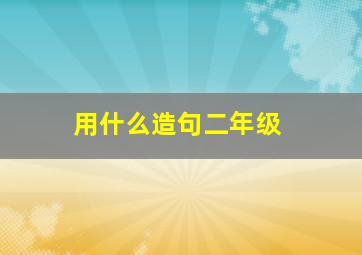 用什么造句二年级