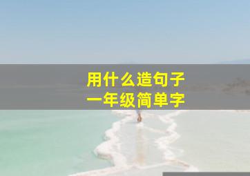 用什么造句子一年级简单字