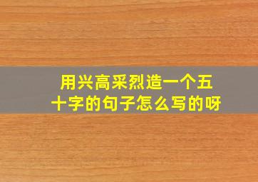 用兴高采烈造一个五十字的句子怎么写的呀