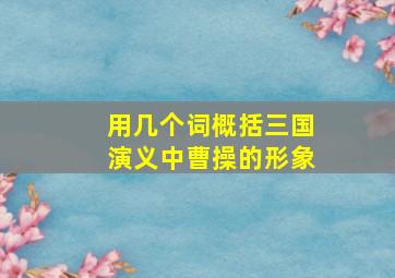 用几个词概括三国演义中曹操的形象