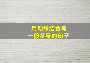 用动静结合写一段冬景的句子