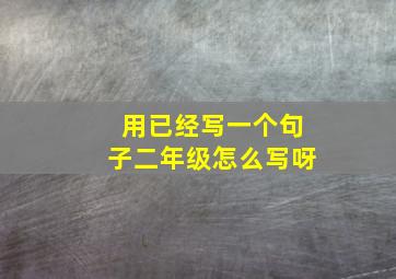 用已经写一个句子二年级怎么写呀