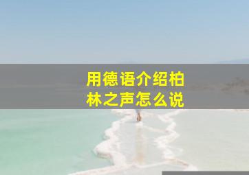 用德语介绍柏林之声怎么说