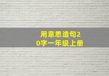 用意思造句20字一年级上册