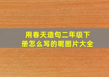 用春天造句二年级下册怎么写的呢图片大全