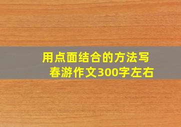 用点面结合的方法写春游作文300字左右