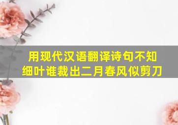 用现代汉语翻译诗句不知细叶谁裁出二月春风似剪刀