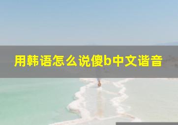 用韩语怎么说傻b中文谐音