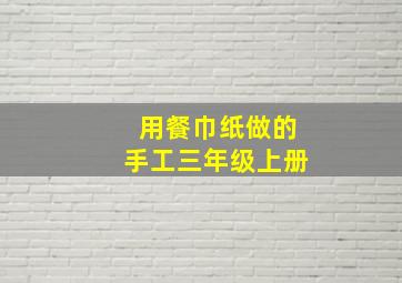 用餐巾纸做的手工三年级上册