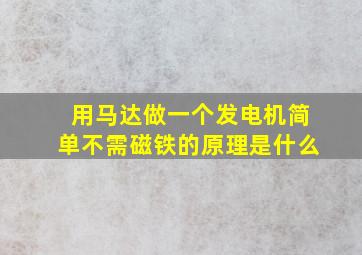 用马达做一个发电机简单不需磁铁的原理是什么