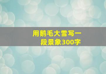 用鹅毛大雪写一段景象300字