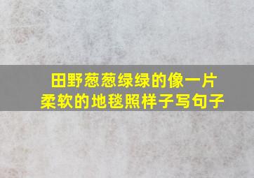 田野葱葱绿绿的像一片柔软的地毯照样子写句子