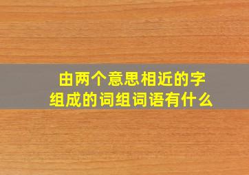 由两个意思相近的字组成的词组词语有什么