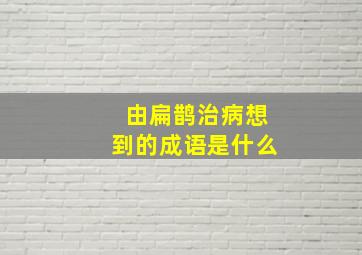 由扁鹊治病想到的成语是什么