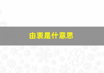 由衷是什意思