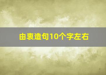 由衷造句10个字左右