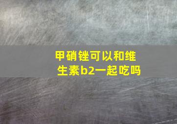 甲硝锉可以和维生素b2一起吃吗