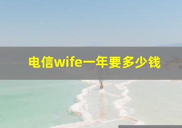 电信wife一年要多少钱