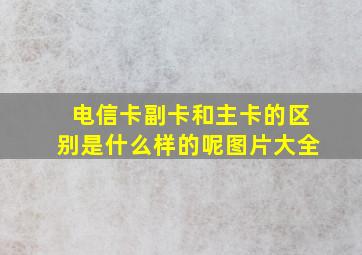 电信卡副卡和主卡的区别是什么样的呢图片大全