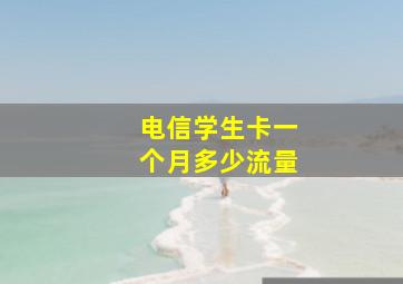 电信学生卡一个月多少流量