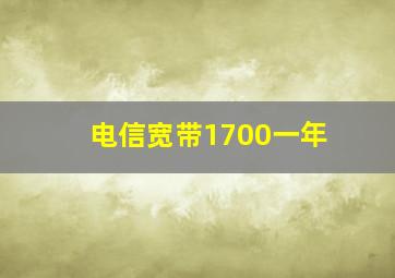 电信宽带1700一年