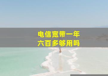 电信宽带一年六百多够用吗