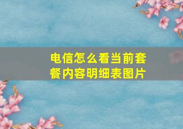 电信怎么看当前套餐内容明细表图片