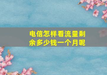 电信怎样看流量剩余多少钱一个月呢