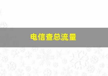 电信查总流量