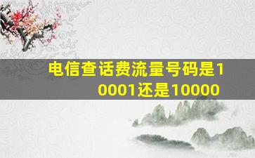 电信查话费流量号码是10001还是10000