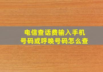 电信查话费输入手机号码或呼唤号码怎么查