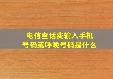 电信查话费输入手机号码或呼唤号码是什么