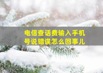 电信查话费输入手机号说错误怎么回事儿