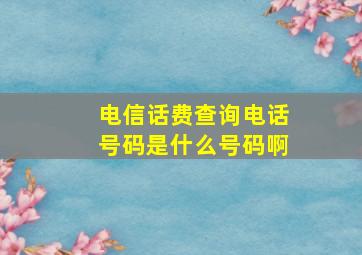 电信话费查询电话号码是什么号码啊