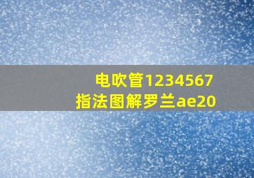 电吹管1234567指法图解罗兰ae20